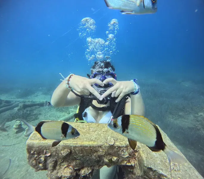 Side Diving Center - Photo 3