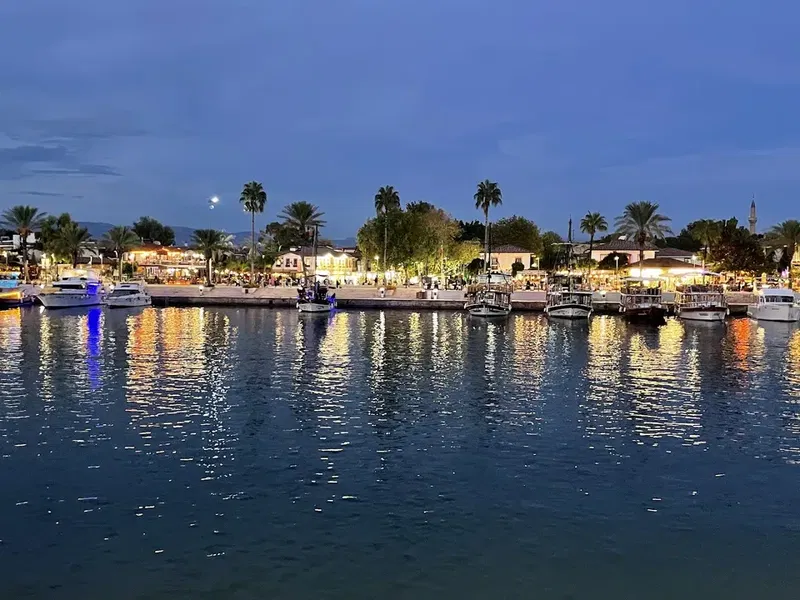 Side Harbour - Photo 4