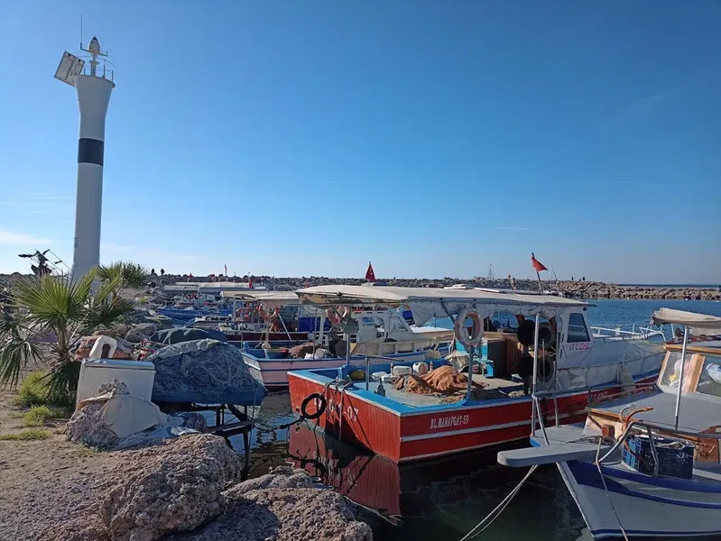Side Harbour - Photo 10