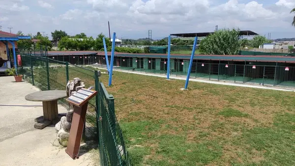 SİDE Köpek Oteli Eğitim Merkezi