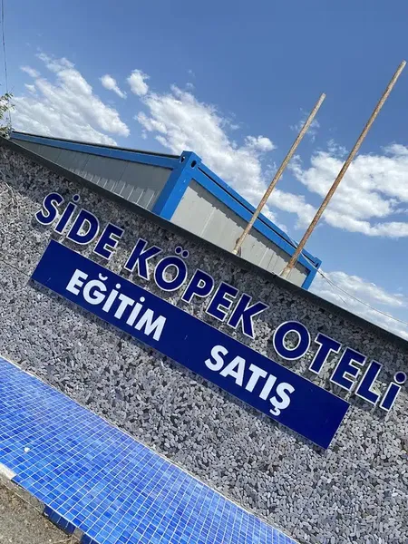 SİDE Köpek Oteli Eğitim Merkezi - Photo 8