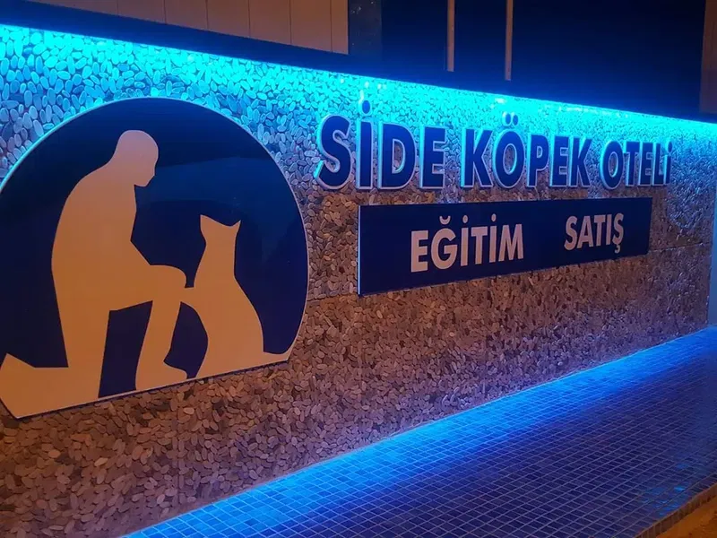 SİDE Köpek Oteli Eğitim Merkezi - Photo 9