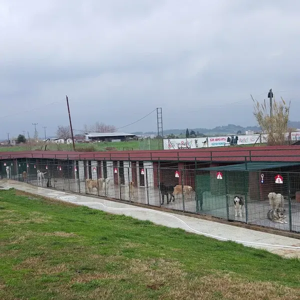 SİDE Köpek Oteli Eğitim Merkezi - Photo 10