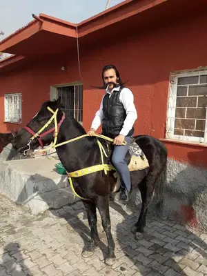 Si̇lleli̇ Pala