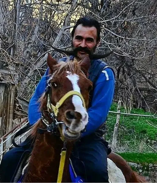 Si̇lleli̇ Pala - Photo 3