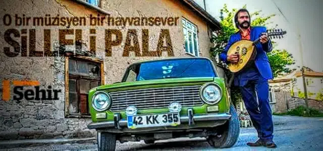 Si̇lleli̇ Pala - Photo 8