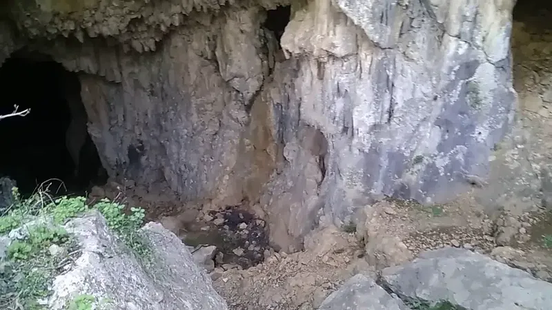 Simoluğu Mağarası - Photo 2