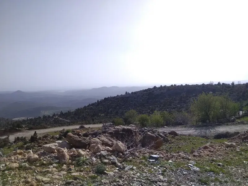 Simoluğu Mağarası - Photo 10