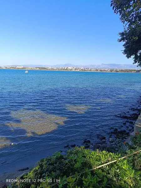 Sirma Hotel Beach & Garden - Photo 10