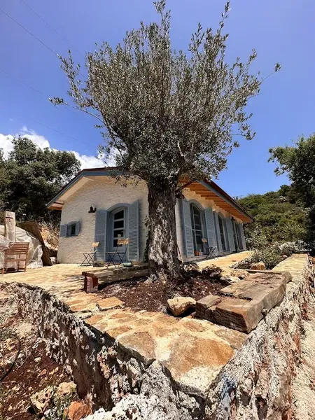 Small Farm Kaş - Photo 1
