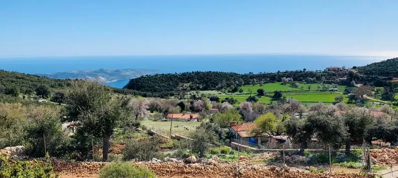 Small Farm Kaş - Photo 6