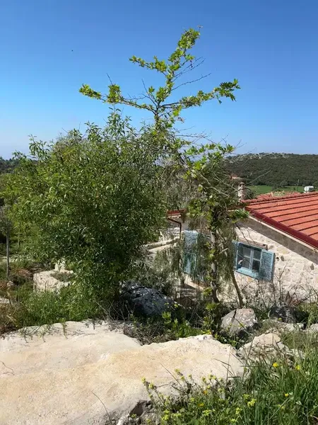 Small Farm Kaş - Photo 8