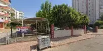 Snus Antalya