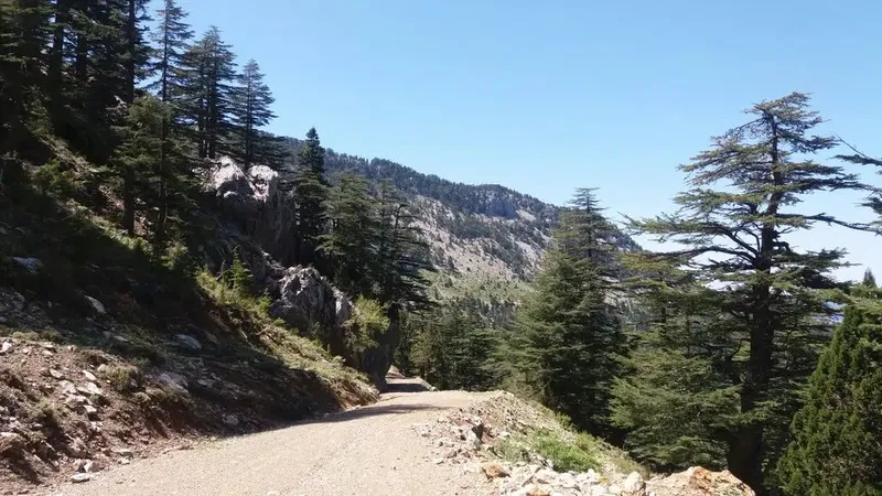 Soguk Oluk - Photo 1