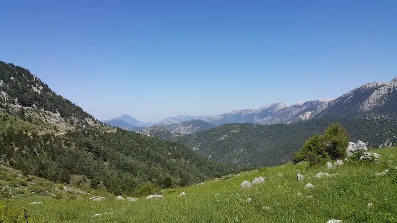 Soguk Oluk - Photo 2
