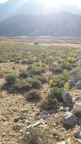 Soguk Oluk - Photo 10