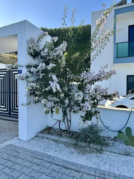 Solar Villa - Photo 9