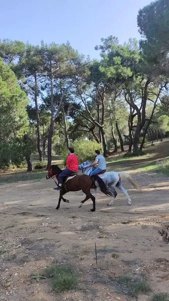 Sorgun Çamlığı - Photo 2