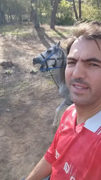 Sorgun Çamlığı - Photo 5