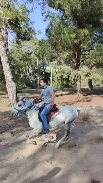 Sorgun Çamlığı - Photo 10