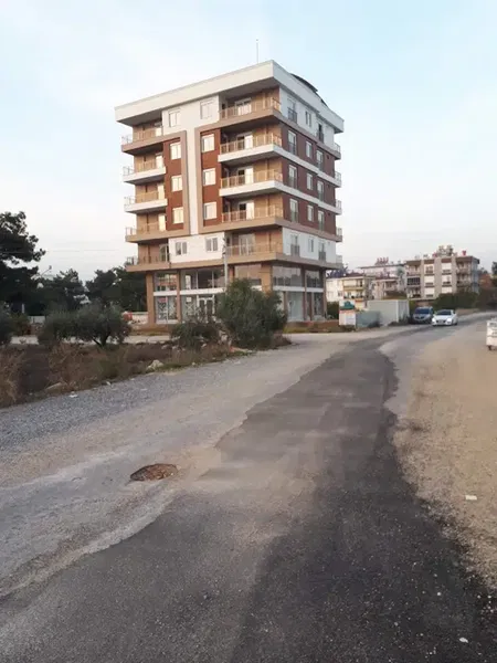 Soylu kurumsal - Photo 6