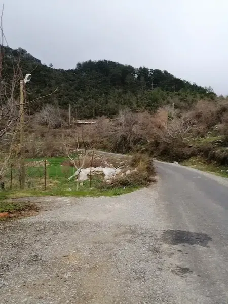 Sugözü paradise - Photo 5