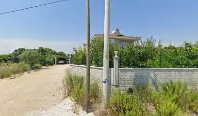 Sukulent Manavgat