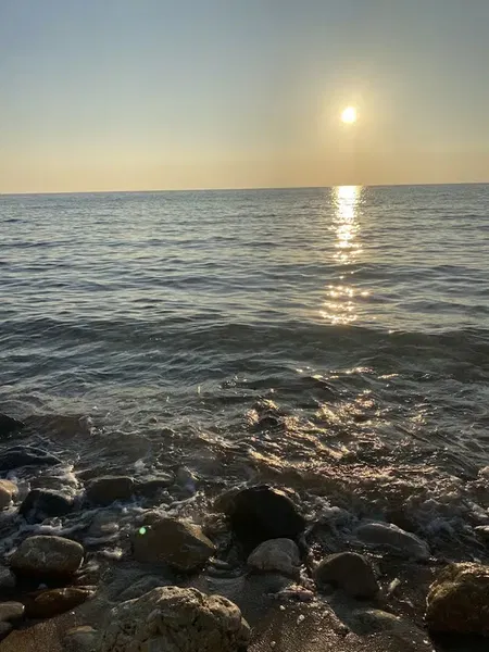SunSea Karaöz - Sülo Palas - Photo 10