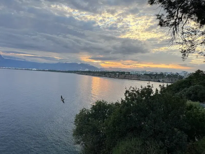 Sunset view restaurant & bar - Photo 7