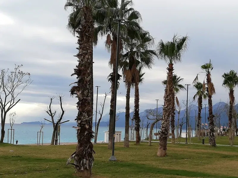 Sup Canoe Antalya - Photo 4