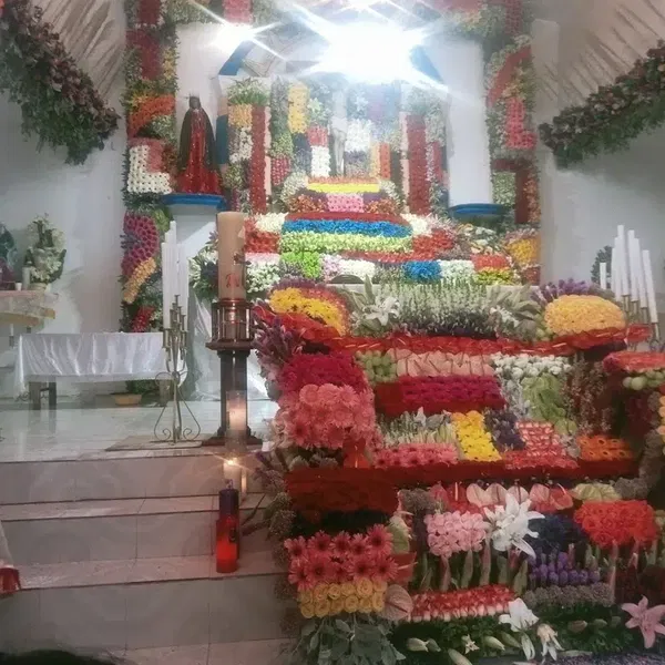 Susesi Tuğra Restaurant - Photo 7