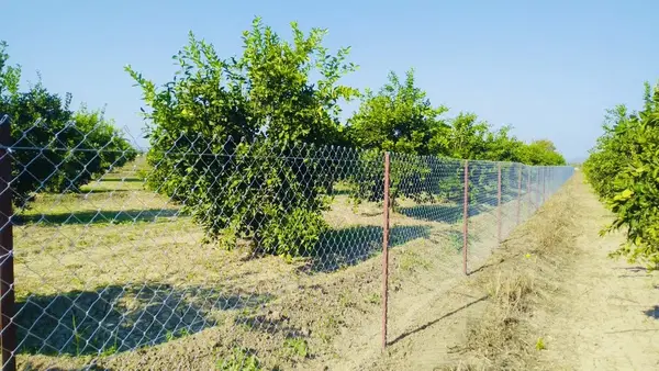 Söğle Düğün Salonu