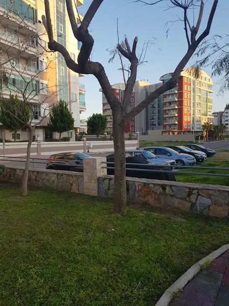 Sürat Kargo Uncalı Şube - Photo 5