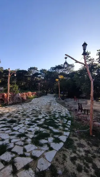 Tabiat Park Bungalow's - Photo 6