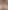 Tahir Paşa Cami fotoğrafı
