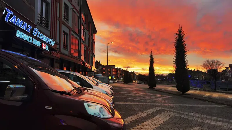 Tamaz Otomoti̇v - Photo 6