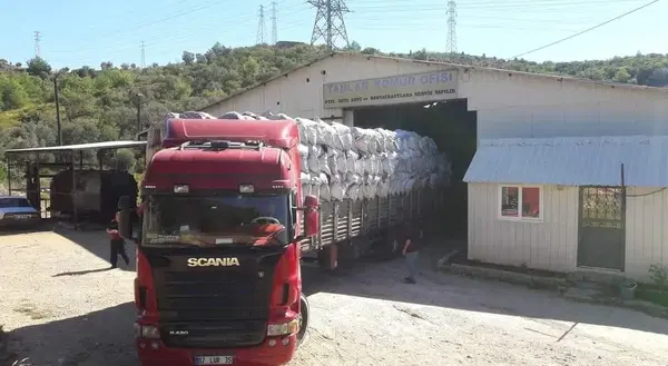 Tanlar Kömür- Konakli̇ Depo
