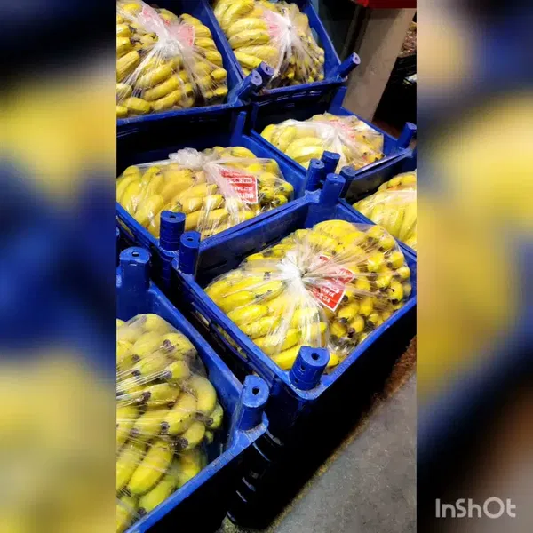 Tanyeri Tarım Elmalı Şube - Photo 2