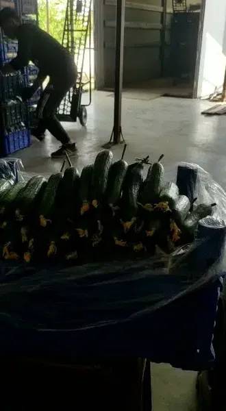 Tanyeri Tarım Elmalı Şube - Photo 5