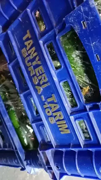 Tanyeri Tarım Elmalı Şube - Photo 8