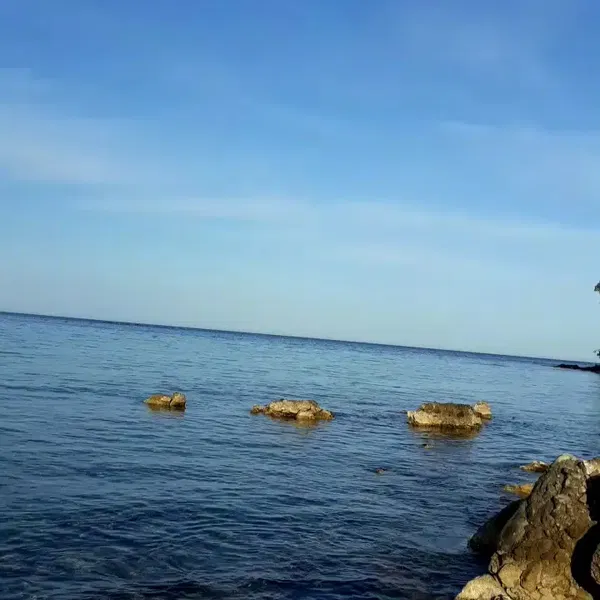 Tapınak - Photo 2