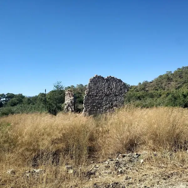 Tapınak - Photo 3