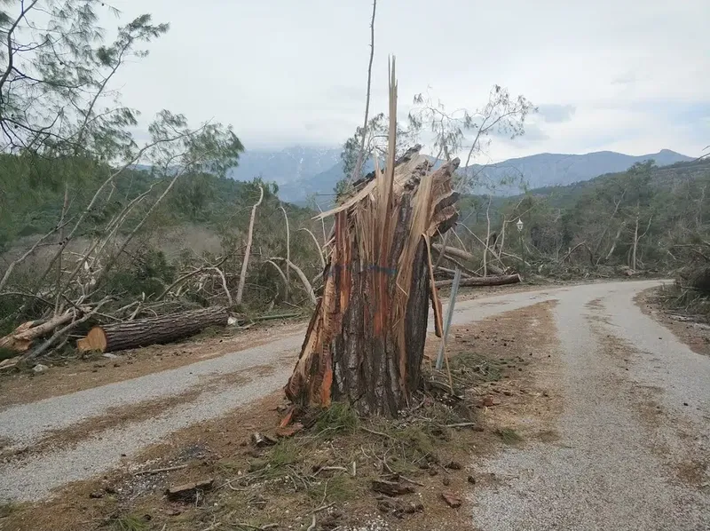 Tapınak - Photo 4