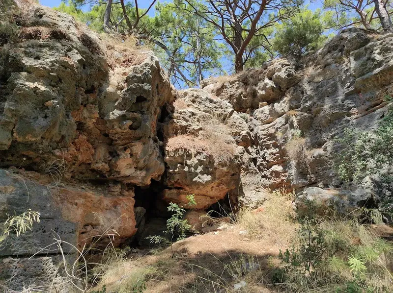 Tapınak - Photo 5
