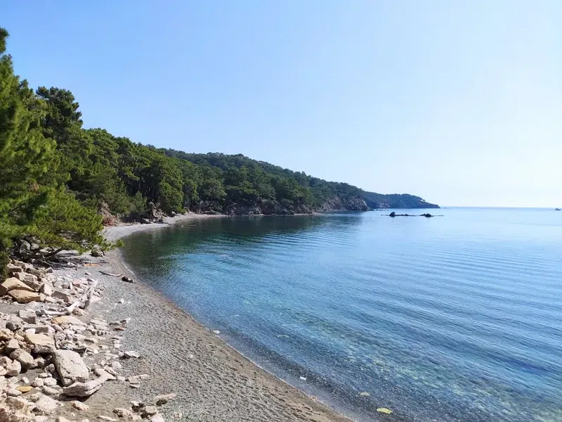 Tapınak - Photo 6