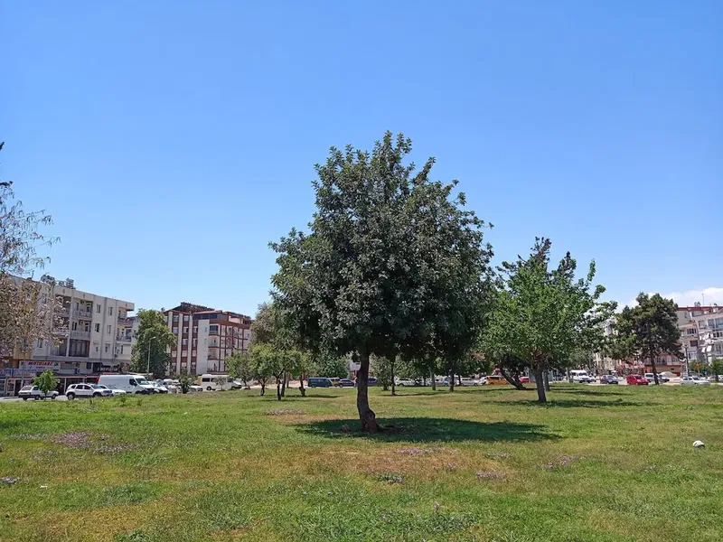 Tarık Akan Parkı - Photo 3