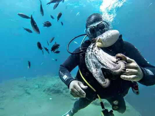 Taurus Diving School