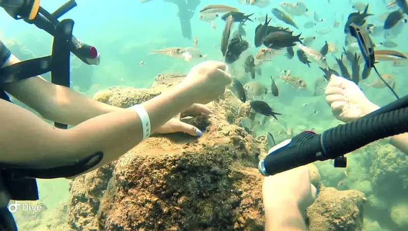 Taurus Diving School - Photo 8