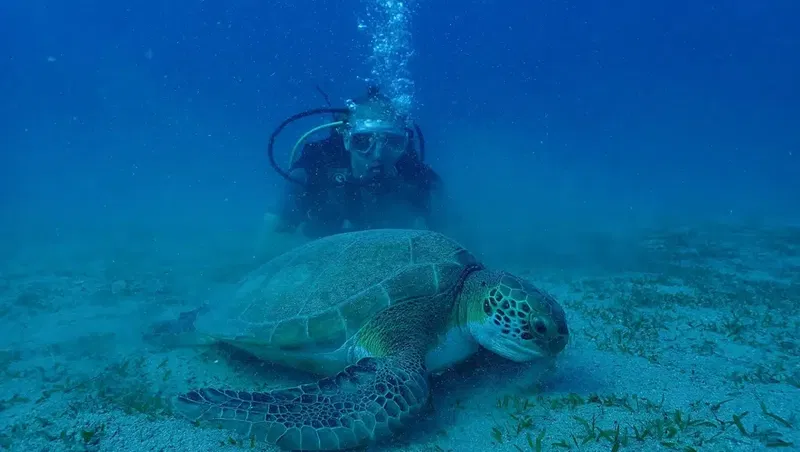 Taurus Diving School - Photo 9