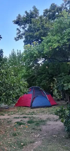 Tavuskuşu Camping & Bungalow - Photo 5